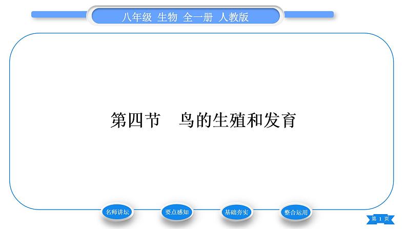 人教版八年级生物下第七单元生物圈中生命的延续和发展第一章生物的生殖和发育第四节鸟的生殖和发育习题课件第1页