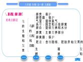 人教版八年级生物下第七单元生物圈中生命的延续和发展第一章生物的生殖和发育第四节鸟的生殖和发育习题课件