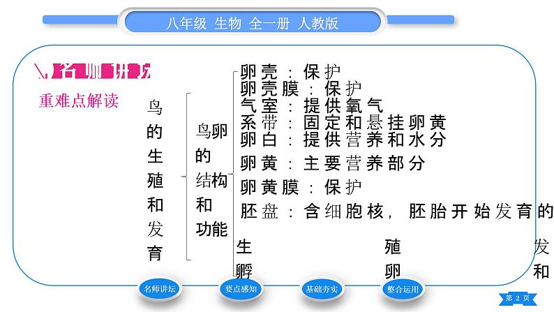 人教版八年级生物下第七单元生物圈中生命的延续和发展第一章生物的生殖和发育第四节鸟的生殖和发育习题课件第2页