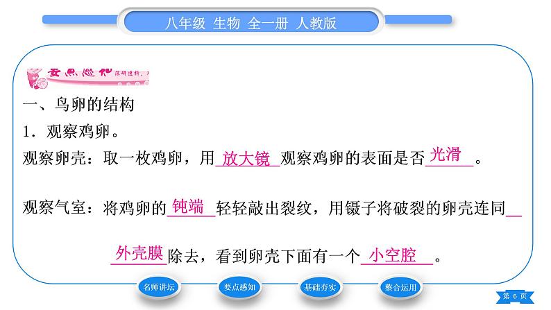 人教版八年级生物下第七单元生物圈中生命的延续和发展第一章生物的生殖和发育第四节鸟的生殖和发育习题课件第6页