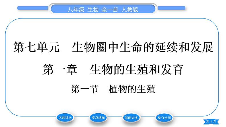 人教版八年级生物下第七单元生物圈中生命的延续和发展第一章生物的生殖和发育第一节植物的生殖习题课件01