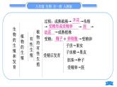 人教版八年級(jí)生物下第七單元生物圈中生命的延續(xù)和發(fā)展第一章生物的生殖和發(fā)育復(fù)習(xí)與提升習(xí)題課件