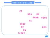 人教版八年级生物下第八单元健康地生活复习与提升习题课件