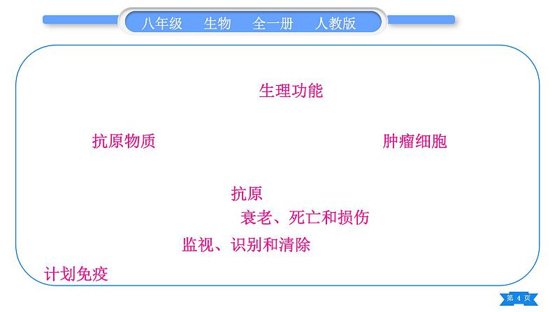 人教版八年级生物下第八单元健康地生活复习与提升习题课件04