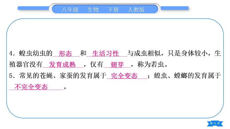 人教版八年级生物下期末抢分速记复习课件06