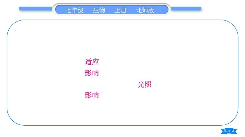 北师大版七年级生物上第1单元认识生命归纳与提升习题课件第4页