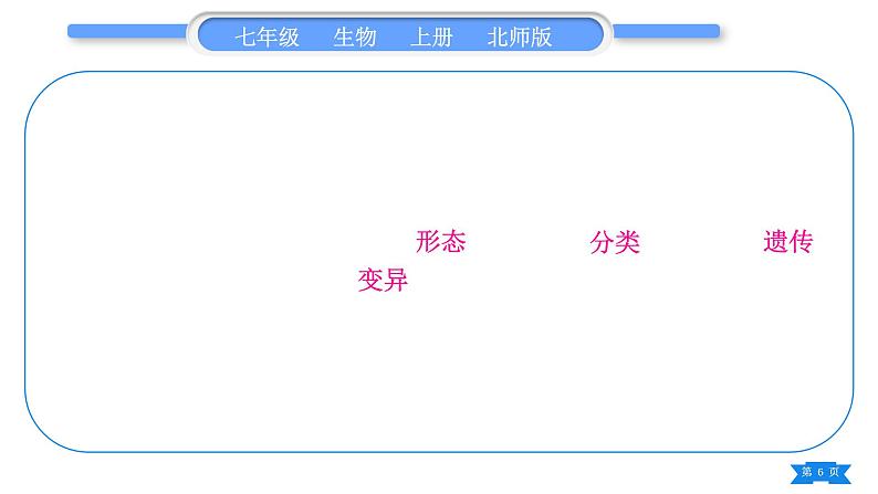 北师大版七年级生物上第1单元认识生命归纳与提升习题课件第6页