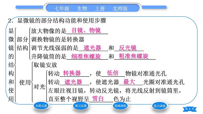 北师大版七年级生物上第2单元生物体的结构第3章细胞第1节细胞的基本结构和功能第1课时显微镜的使用习题课件08