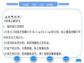 北师大版七年级生物上第2单元生物体的结构第3章细胞第1节细胞的基本结构和功能第3课时植物细胞的结构习题课件