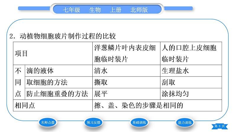 北师大版七年级生物上第2单元生物体的结构第3章细胞第1节细胞的基本结构和功能第3课时植物细胞的结构习题课件03