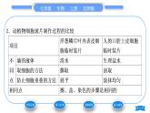 北师大版七年级生物上第2单元生物体的结构第3章细胞第1节细胞的基本结构和功能第3课时植物细胞的结构习题课件