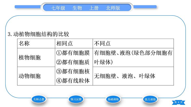 北师大版七年级生物上第2单元生物体的结构第3章细胞第1节细胞的基本结构和功能第3课时植物细胞的结构习题课件04