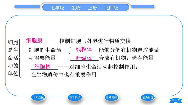 北师大版七年级生物上第2单元生物体的结构第3章细胞第2节细胞是生命活动的单位习题课件08