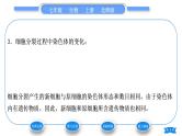 北师大版七年级生物上第2单元生物体的结构第3章细胞第3节细胞通过分裂而增殖习题课件