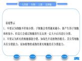 北師大版七年級生物上第2單元生物體的結(jié)構(gòu)第3章細(xì)胞第3節(jié)細(xì)胞通過分裂而增殖習(xí)題課件