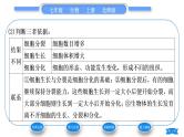 北师大版七年级生物上第2单元生物体的结构第4章生物体的结构层次第1节细胞分化形成组织习题课件