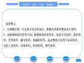 北师大版七年级生物上第2单元生物体的结构第4章生物体的结构层次第1节细胞分化形成组织习题课件