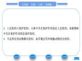 北师大版七年级生物上第2单元生物体的结构第4章生物体的结构层次第1节细胞分化形成组织习题课件