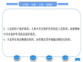 北师大版七年级生物上第2单元生物体的结构第4章生物体的结构层次第1节细胞分化形成组织习题课件