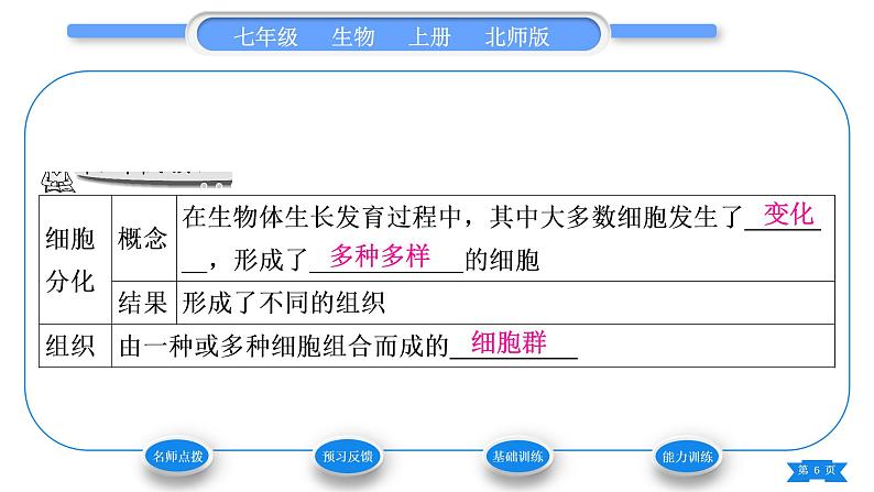 北师大版七年级生物上第2单元生物体的结构第4章生物体的结构层次第1节细胞分化形成组织习题课件第6页