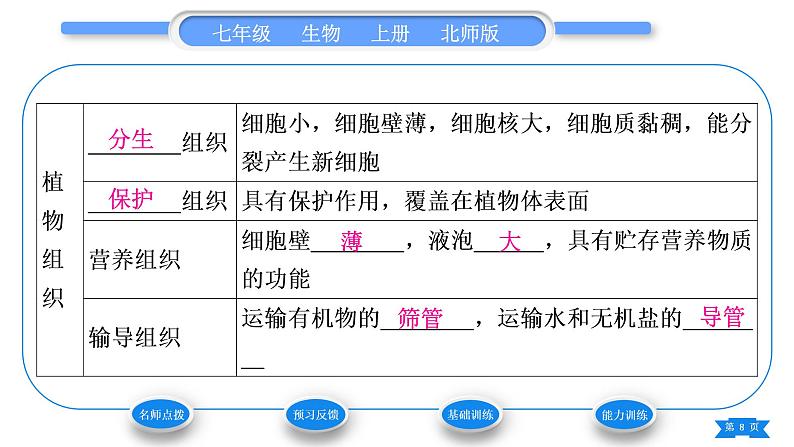 北师大版七年级生物上第2单元生物体的结构第4章生物体的结构层次第1节细胞分化形成组织习题课件第8页