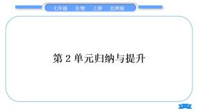 北师大版七年级生物上第2单元生物体的结构归纳与提升习题课件