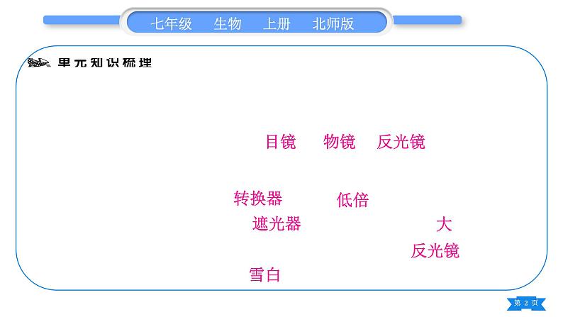 北师大版七年级生物上第2单元生物体的结构归纳与提升习题课件02