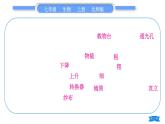 北师大版七年级生物上第2单元生物体的结构归纳与提升习题课件