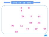 北师大版七年级生物上第2单元生物体的结构归纳与提升习题课件