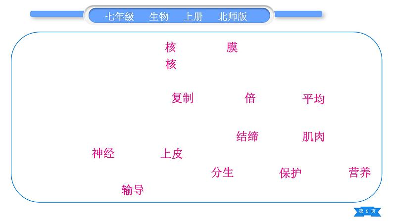 北师大版七年级生物上第2单元生物体的结构归纳与提升习题课件05