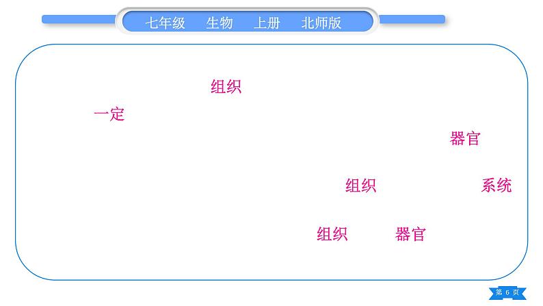 北师大版七年级生物上第2单元生物体的结构归纳与提升习题课件06