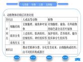 北师大版七年级生物上第2单元生物体的结构第4章生物体的结构层次第2节生物体的器官、系统习题课件