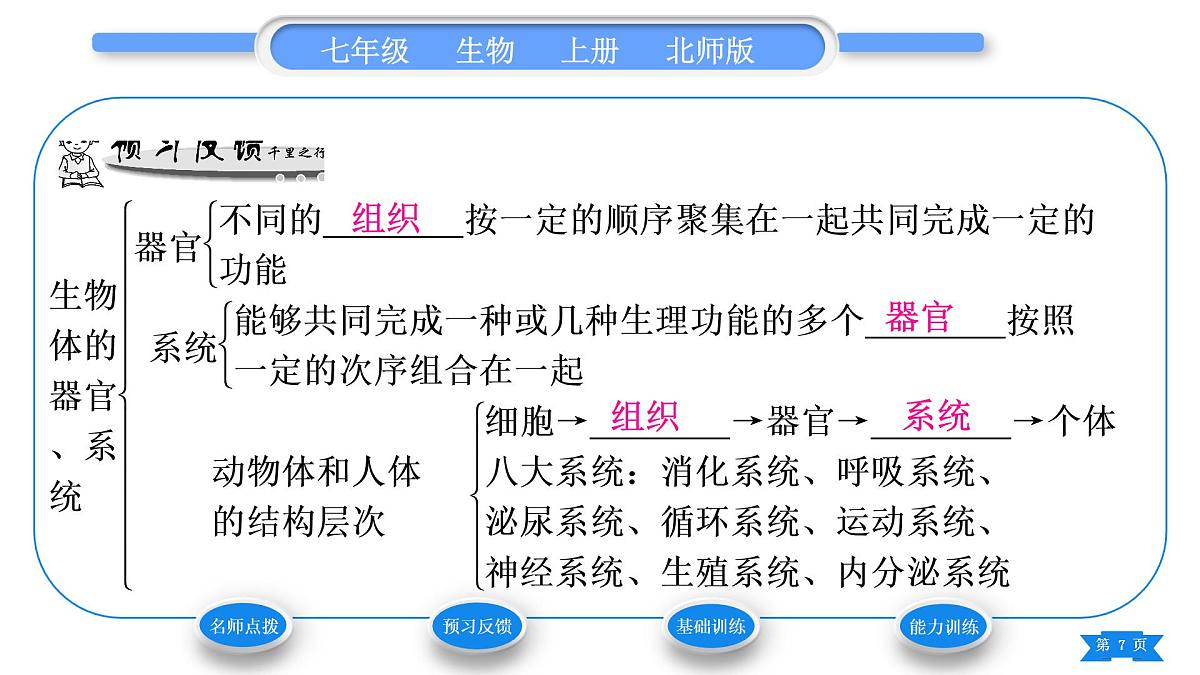 北师大版七年级生物上第2单元生物体的结构第4章生物体的结构层次第2节生物体的器官、系统习题课件第7页