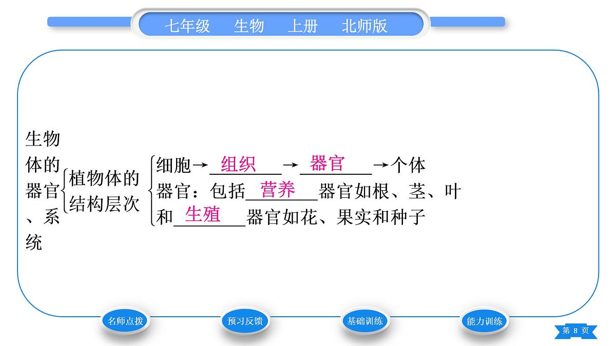 北师大版七年级生物上第2单元生物体的结构第4章生物体的结构层次第2节生物体的器官、系统习题课件第8页