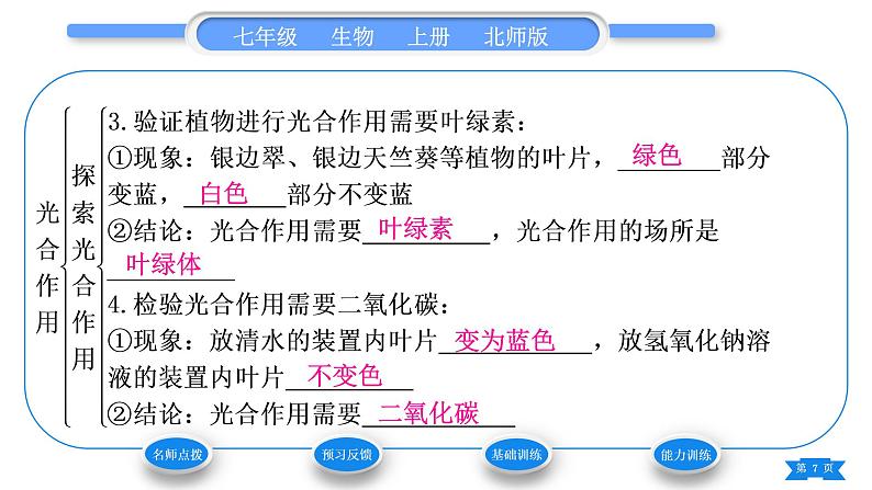 北师大版七年级生物上第3单元生物圈中的绿色植物第5章绿色开花植物的生活方式第1课时柳苗生长之谜和探索光合作用习题课件07