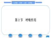 北师大版七年级生物上第3单元生物圈中的绿色植物第5章绿色开花植物的生活方式第2节呼吸作用习题课件