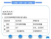 北师大版七年级生物上第3单元生物圈中的绿色植物第5章绿色开花植物的生活方式第2节呼吸作用习题课件