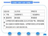 北师大版七年级生物上第3单元生物圈中的绿色植物第5章绿色开花植物的生活方式第2节呼吸作用习题课件