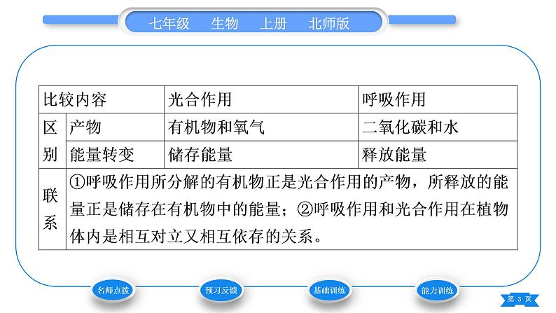 北师大版七年级生物上第3单元生物圈中的绿色植物第5章绿色开花植物的生活方式第2节呼吸作用习题课件03