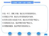 北師大版七年級(jí)生物上第3單元生物圈中的綠色植物第5章綠色開花植物的生活方式第2節(jié)呼吸作用習(xí)題課件