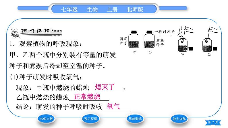 北师大版七年级生物上第3单元生物圈中的绿色植物第5章绿色开花植物的生活方式第2节呼吸作用习题课件07