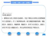 北师大版七年级生物上第3单元生物圈中的绿色植物第5章绿色开花植物的生活方式第3节吸收作用习题课件