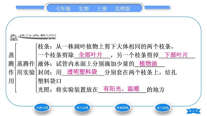 北师大版七年级生物上第3单元生物圈中的绿色植物第5章绿色开花植物的生活方式第4节蒸腾作用习题课件08