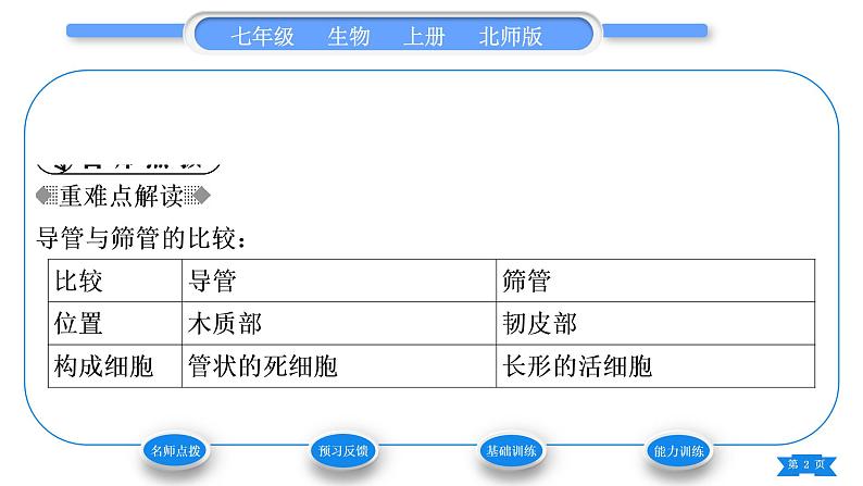 北师大版七年级生物上第3单元生物圈中的绿色植物第5章绿色开花植物的生活方式第5节运输作用习题课件第2页