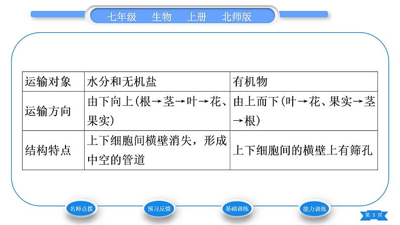 北师大版七年级生物上第3单元生物圈中的绿色植物第5章绿色开花植物的生活方式第5节运输作用习题课件第3页