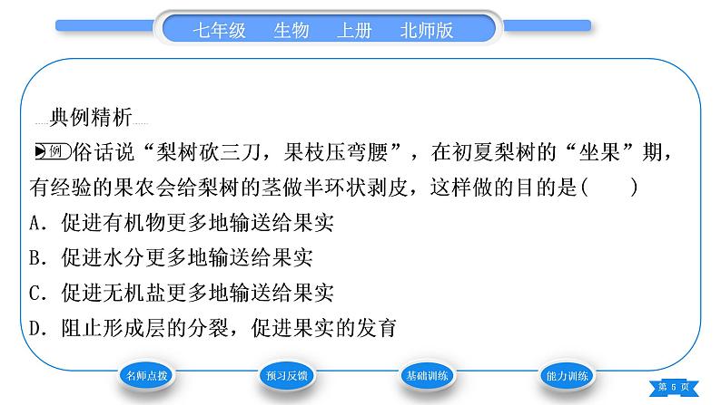 北师大版七年级生物上第3单元生物圈中的绿色植物第5章绿色开花植物的生活方式第5节运输作用习题课件第5页