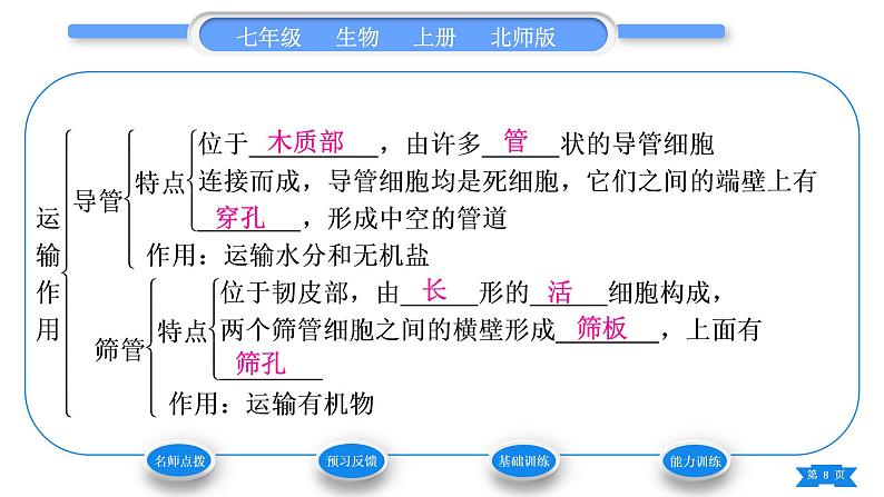 北师大版七年级生物上第3单元生物圈中的绿色植物第5章绿色开花植物的生活方式第5节运输作用习题课件第8页