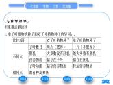 北师大版七年级生物上第3单元生物圈中的绿色植物第6章绿色开花植物的生活史第1节种子萌发形成幼苗第1课时种子的结构和功能习题课件