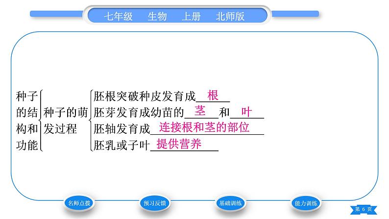 北师大版七年级生物上第3单元生物圈中的绿色植物第6章绿色开花植物的生活史第1节种子萌发形成幼苗第1课时种子的结构和功能习题课件06