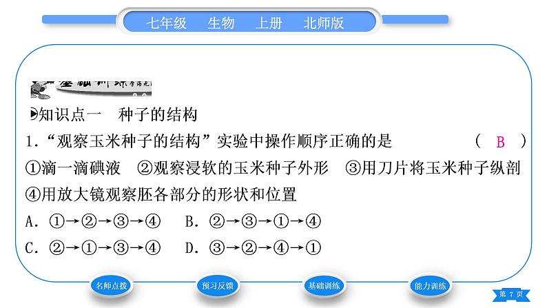 北师大版七年级生物上第3单元生物圈中的绿色植物第6章绿色开花植物的生活史第1节种子萌发形成幼苗第1课时种子的结构和功能习题课件07